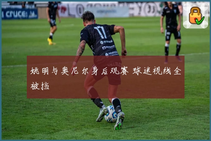 姚明与奥尼尔身后观赛 球迷视线全被挡