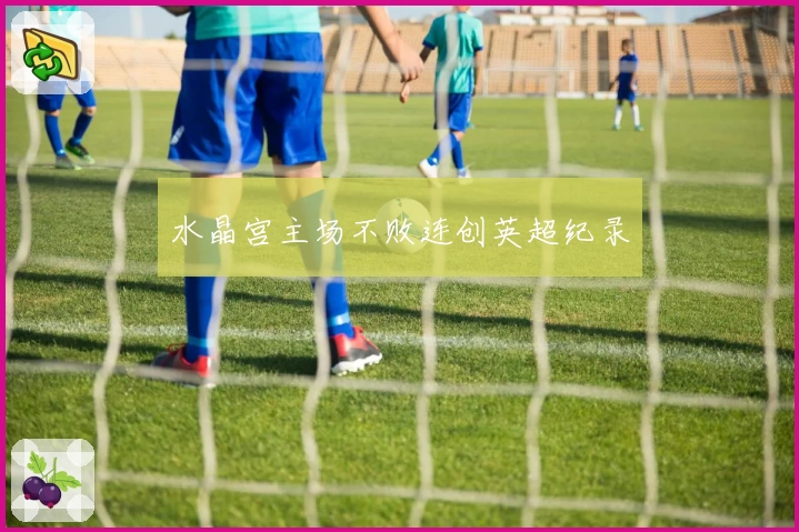 水晶宫主场不败连创英超纪录