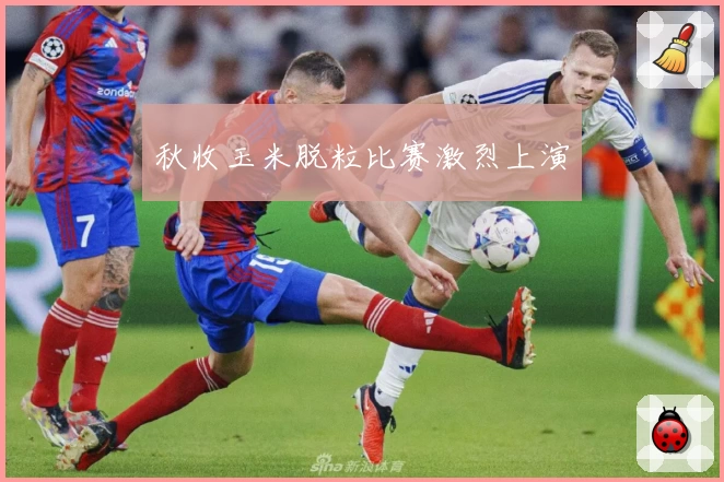 秋收玉米脱粒比赛激烈上演